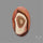 Polychrome Picture Jasper Cabochon Rare Spiral Pattern
