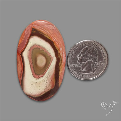 Polychrome Picture Jasper Cabochon Rare Spiral Pattern