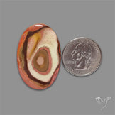 Polychrome Picture Jasper Cabochon Rare Spiral Pattern
