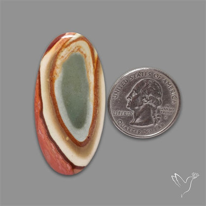 Polychrome Picture Jasper Cabochon Rare Spiral Pattern