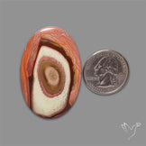 Polychrome Picture Jasper Cabochon Rare Spiral Pattern