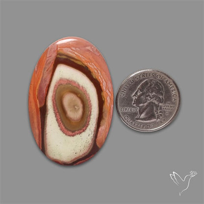 Polychrome Picture Jasper Cabochon Rare Spiral Pattern