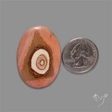 Polychrome Picture Jasper Cabochon Rare Spiral Pattern