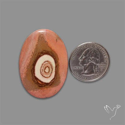 Polychrome Picture Jasper Cabochon Rare Spiral Pattern