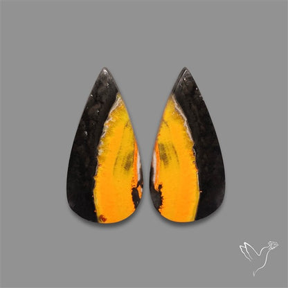 Bumble Bee Jasper Pair