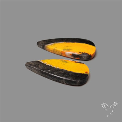 Bumble Bee Jasper Pair