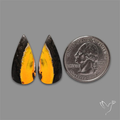 Bumble Bee Jasper Pair