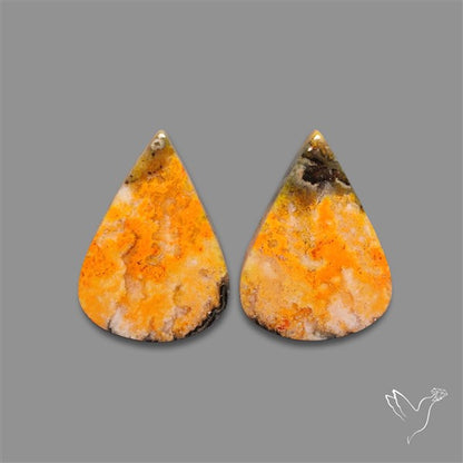 Bumble Bee Jasper Pair
