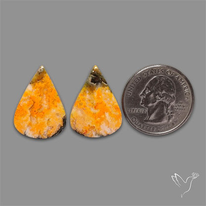 Bumble Bee Jasper Pair