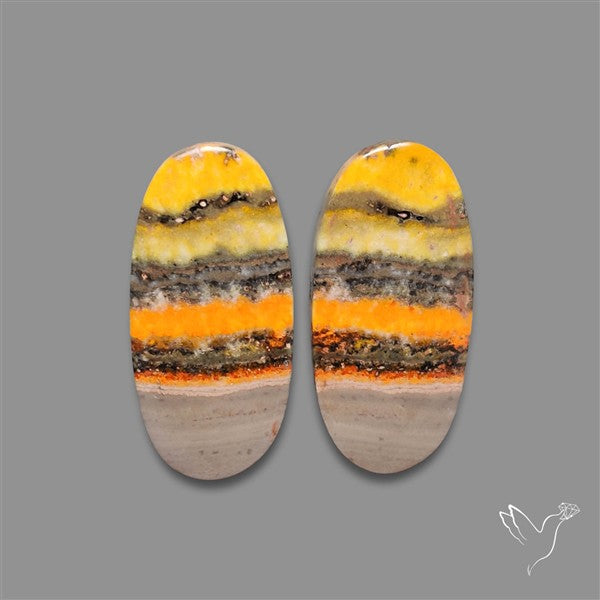 Bumble Bee Jasper Pair