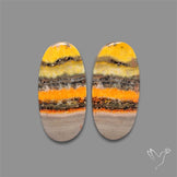 Bumble Bee Jasper Pair