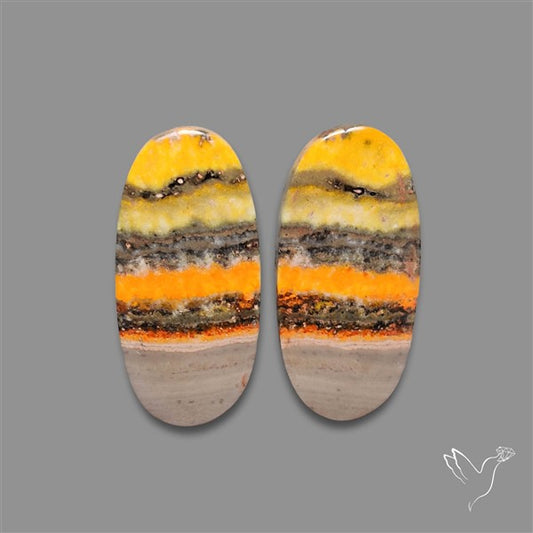 Bumble Bee Jasper Pair