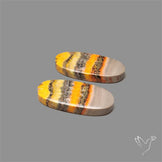 Bumble Bee Jasper Pair