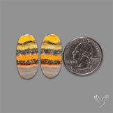 Bumble Bee Jasper Pair
