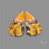 Bumble Bee Jasper Pair