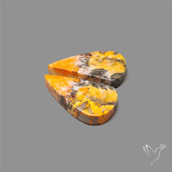 Bumble Bee Jasper Pair