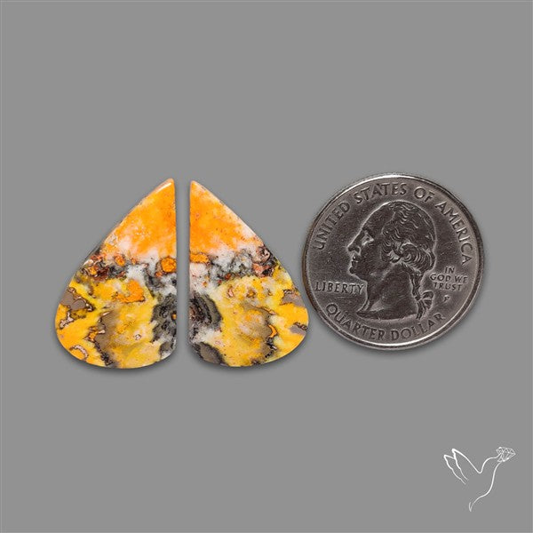 Bumble Bee Jasper Pair