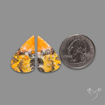 Bumble Bee Jasper Pair