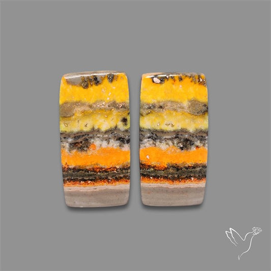 Bumble Bee Jasper Pair