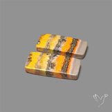 Bumble Bee Jasper Pair