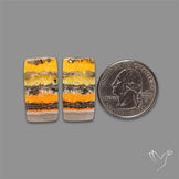 Bumble Bee Jasper Pair