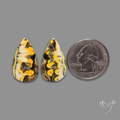 Bumble Bee Jasper Pair