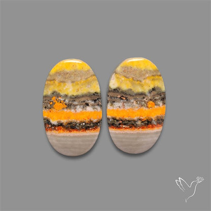 Bumble Bee Jasper Pair