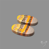 Bumble Bee Jasper Pair