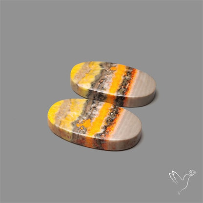 Bumble Bee Jasper Pair