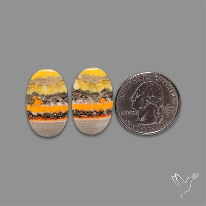 Bumble Bee Jasper Pair
