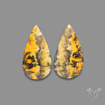 Bumble Bee Jasper Pair