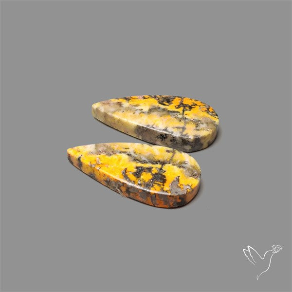 Bumble Bee Jasper Pair