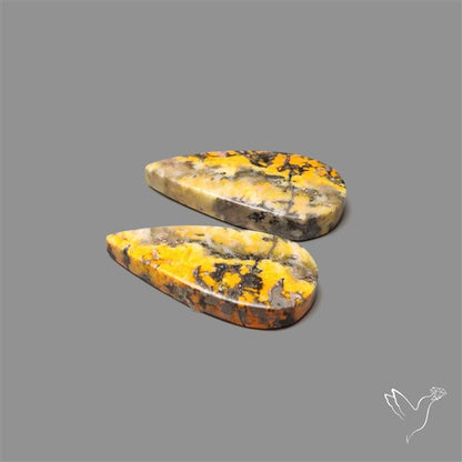Bumble Bee Jasper Pair