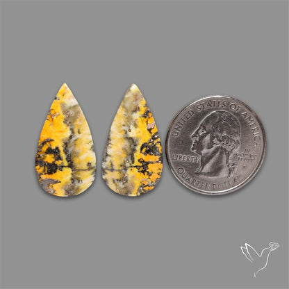 Bumble Bee Jasper Pair