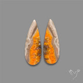 Bumble Bee Jasper Pair