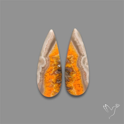 Bumble Bee Jasper Pair