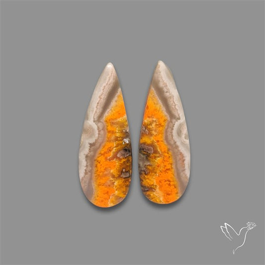 Bumble Bee Jasper Pair