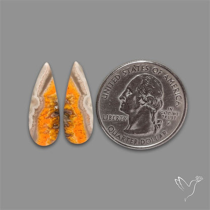 Bumble Bee Jasper Pair