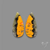 Bumble Bee Jasper Pair