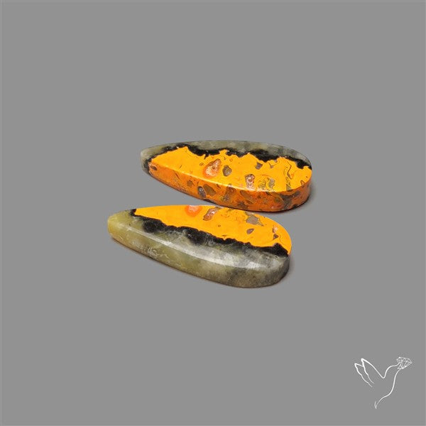 Bumble Bee Jasper Pair