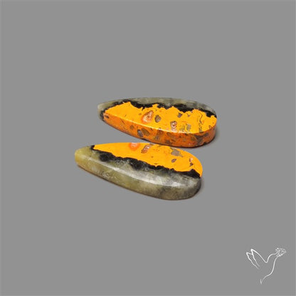 Bumble Bee Jasper Pair