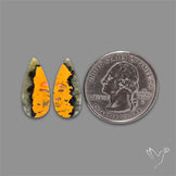 Bumble Bee Jasper Pair