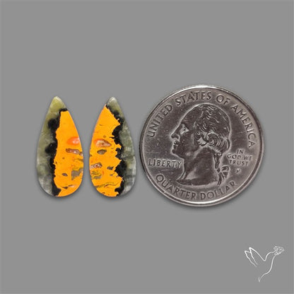 Bumble Bee Jasper Pair