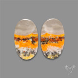 Bumble Bee Jasper Pair