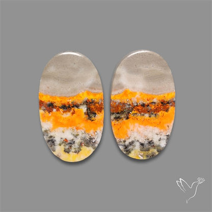 Bumble Bee Jasper Pair