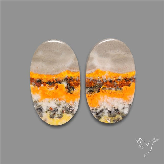 Bumble Bee Jasper Pair