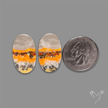 Bumble Bee Jasper Pair