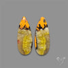 Bumble Bee Jasper Pair