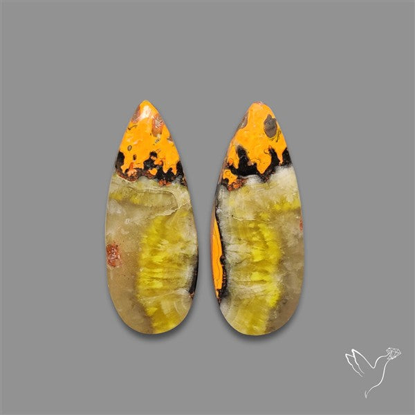 Bumble Bee Jasper Pair