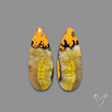 Bumble Bee Jasper Pair